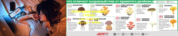 mix Богородицк