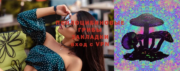 mix Богородицк